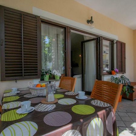 Apartment Sanja Novigrad Istria エクステリア 写真