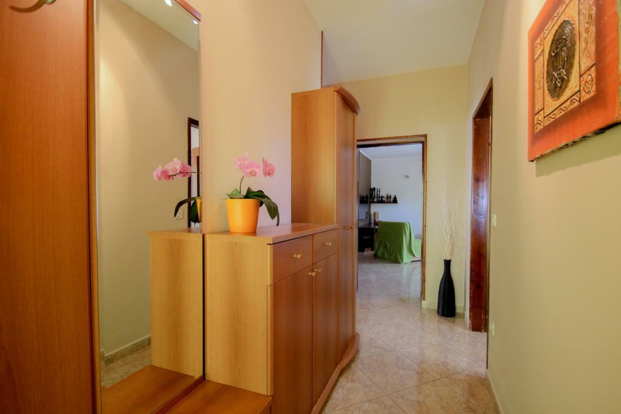 Apartment Sanja Novigrad Istria エクステリア 写真