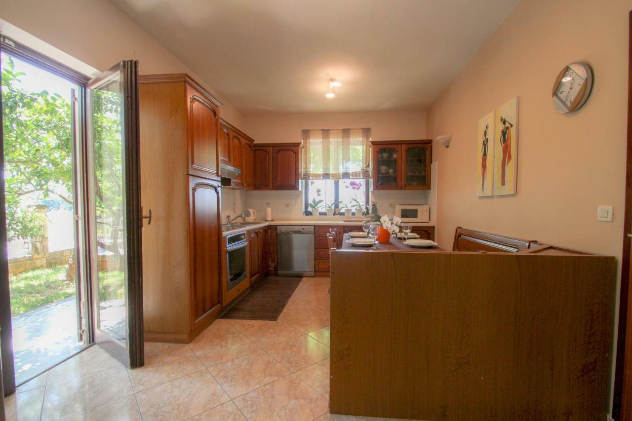 Apartment Sanja Novigrad Istria エクステリア 写真