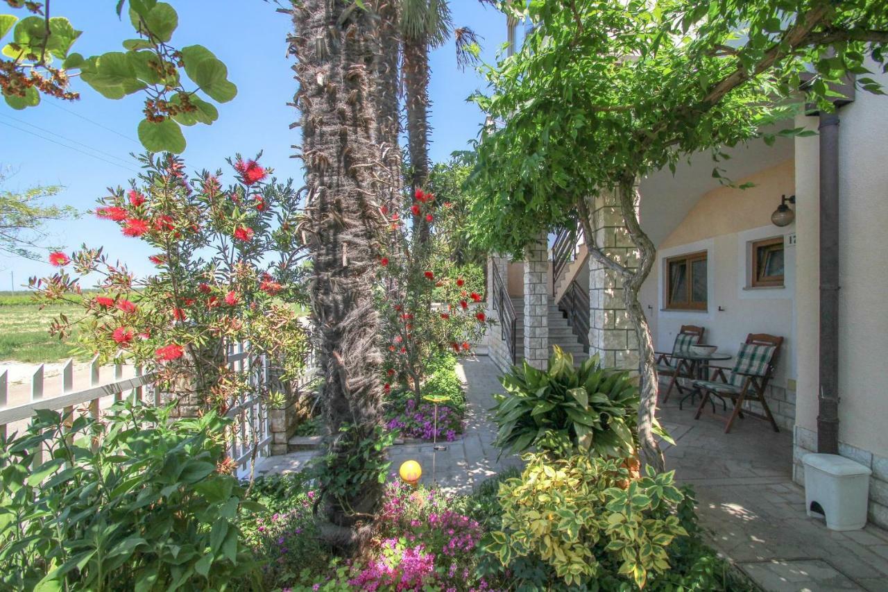 Apartment Sanja Novigrad Istria エクステリア 写真